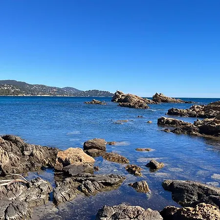 Port De L'étoile De Mer